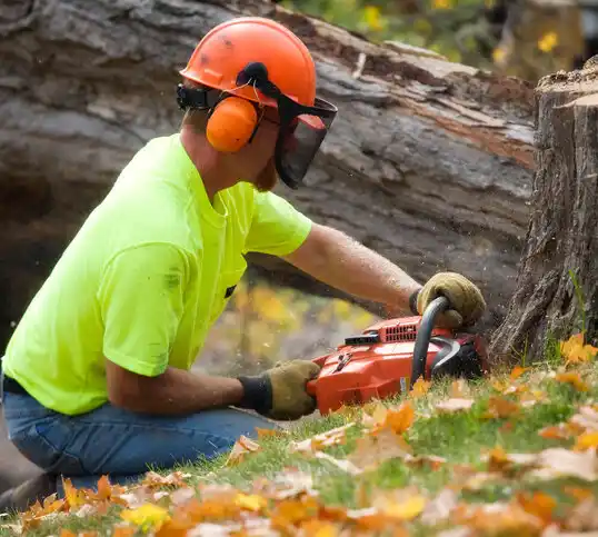 tree services Towson